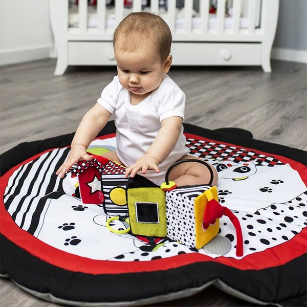 Продукт Babyono OMNIBUS C-More - Образователна играчка  - 0 - BG Hlapeta